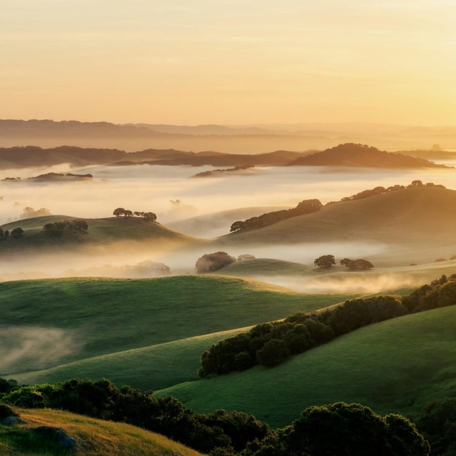 Sanfte Hügel in der Dämmerung, umhüllt von Nebel und warmem Licht.